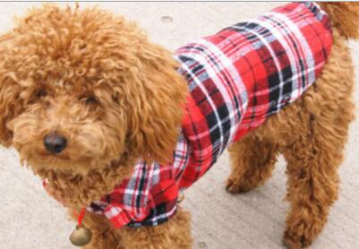 Pet Clothing, Pet Shirt, Checkered Shirt